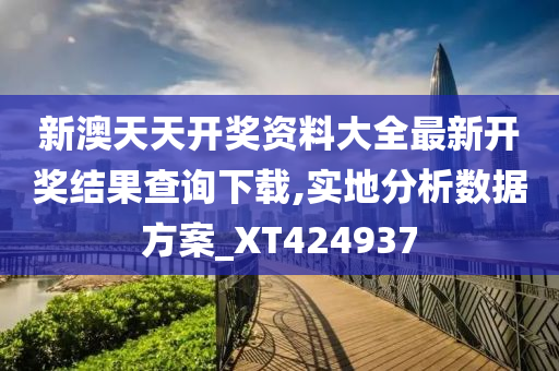 新澳天天开奖资料大全最新开奖结果查询下载,实地分析数据方案_XT424937