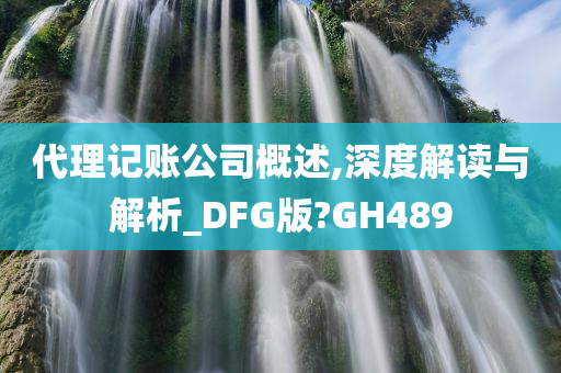 代理记账公司概述,深度解读与解析_DFG版?GH489