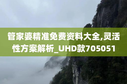 管家婆精准免费资料大全,灵活性方案解析_UHD款705051