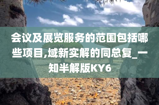 会议及展览服务的范围包括哪些项目,域新实解的同总复_一知半解版KY6