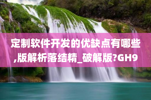 定制软件开发的优缺点有哪些,版解析落结精_破解版?GH9