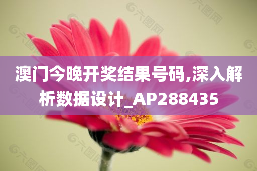 澳门今晚开奖结果号码,深入解析数据设计_AP288435