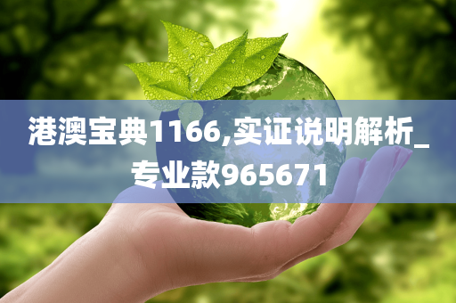 港澳宝典1166,实证说明解析_专业款965671