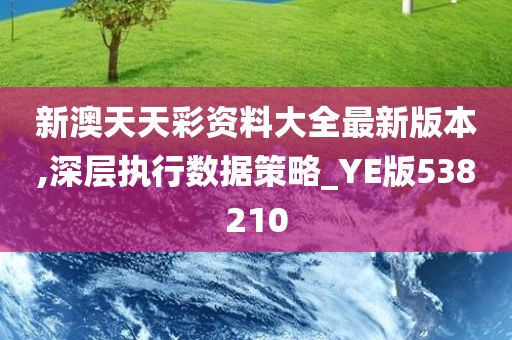 新澳天天彩资料大全最新版本,深层执行数据策略_YE版538210