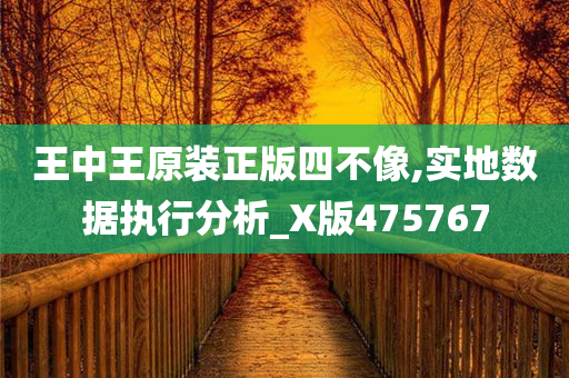 王中王原装正版四不像,实地数据执行分析_X版475767