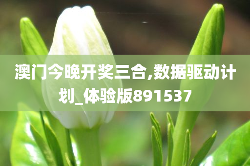 澳门今晚开奖三合,数据驱动计划_体验版891537