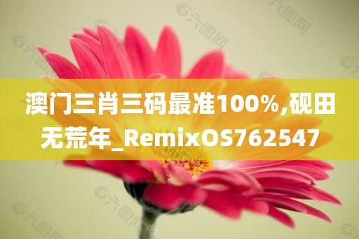 澳门三肖三码最准100%,砚田无荒年_RemixOS762547