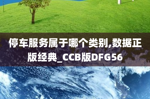 停车服务属于哪个类别,数据正版经典_CCB版DFG56