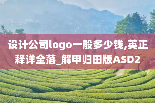 设计公司logo一般多少钱,英正释详全落_解甲归田版ASD2