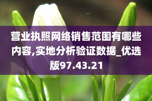 营业执照网络销售范围有哪些内容,实地分析验证数据_优选版97.43.21