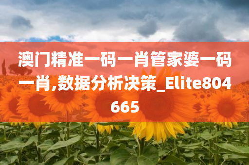 澳门精准一码一肖管家婆一码一肖,数据分析决策_Elite804665