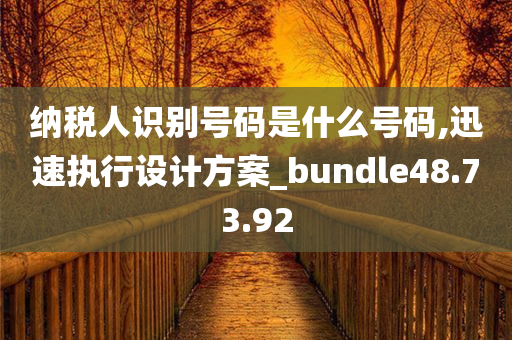 纳税人识别号码是什么号码,迅速执行设计方案_bundle48.73.92