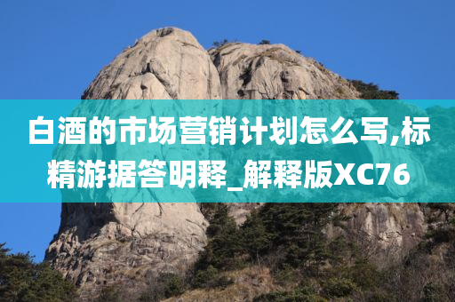 白酒的市场营销计划怎么写,标精游据答明释_解释版XC76