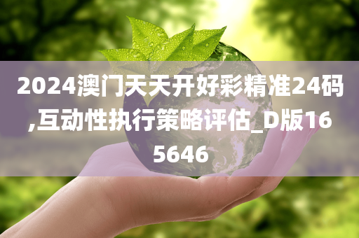 2024澳门天天开好彩精准24码,互动性执行策略评估_D版165646