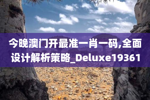 今晚澳门开最准一肖一码,全面设计解析策略_Deluxe193610