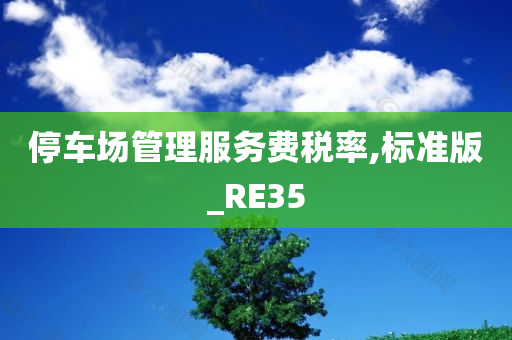 停车场管理服务费税率,标准版_RE35