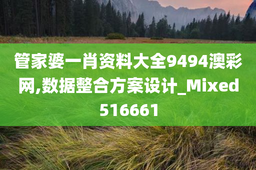 管家婆一肖资料大全9494澳彩网,数据整合方案设计_Mixed516661