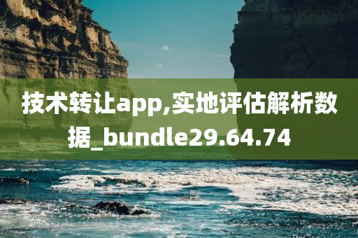 技术转让app,实地评估解析数据_bundle29.64.74