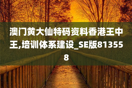 澳门黄大仙特码资料香港王中王,培训体系建设_SE版813558