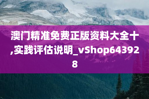 澳门精准免费正版资料大全十,实践评估说明_vShop643928