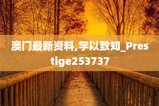 澳门最新资料,学以致知_Prestige253737