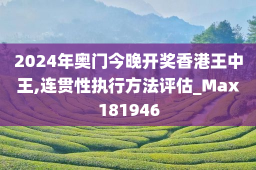 2024年奥门今晚开奖香港王中王,连贯性执行方法评估_Max181946