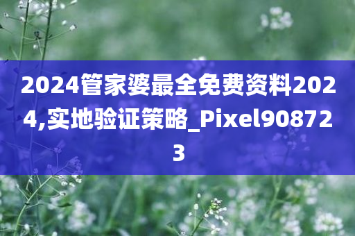 2024管家婆最全免费资料2024,实地验证策略_Pixel908723