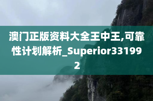 澳门正版资料大全王中王,可靠性计划解析_Superior331992