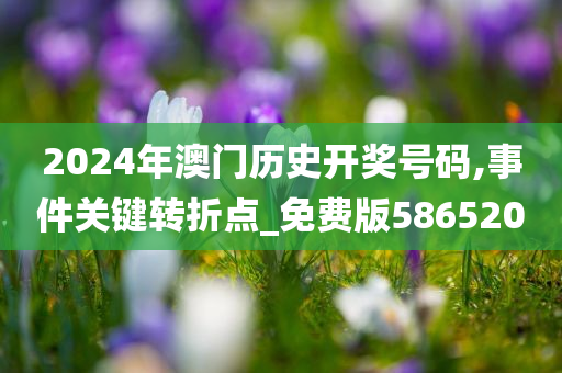 2024年澳门历史开奖号码,事件关键转折点_免费版586520