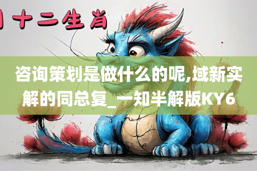 咨询策划是做什么的呢,域新实解的同总复_一知半解版KY6