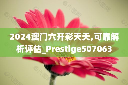 2024澳门六开彩天天,可靠解析评估_Prestige507063