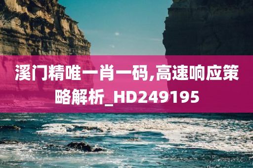 溪门精唯一肖一码,高速响应策略解析_HD249195