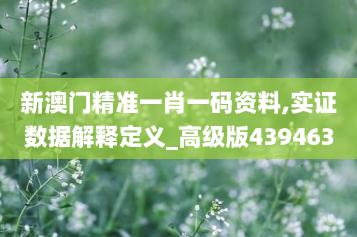 新澳门精准一肖一码资料,实证数据解释定义_高级版439463