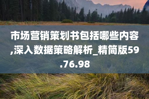 市场营销策划书包括哪些内容,深入数据策略解析_精简版59.76.98