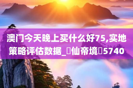 澳门今天晚上买什么好75,实地策略评估数据_‌仙帝境‌5740