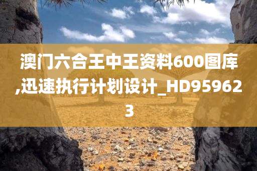 澳门六合王中王资料600图库,迅速执行计划设计_HD959623