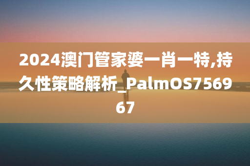 2024澳门管家婆一肖一特,持久性策略解析_PalmOS756967