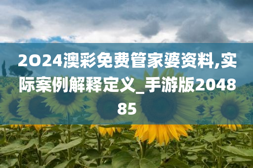 2O24澳彩免费管家婆资料,实际案例解释定义_手游版204885