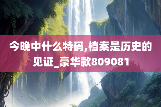 今晚中什么特码,档案是历史的见证_豪华款809081