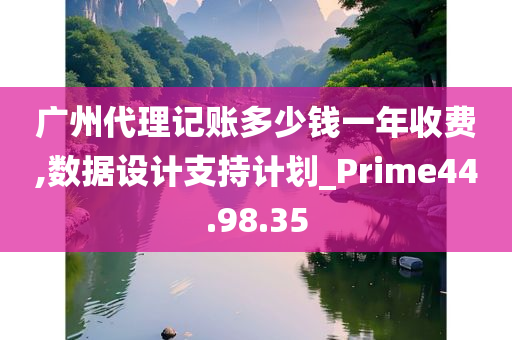 广州代理记账多少钱一年收费,数据设计支持计划_Prime44.98.35