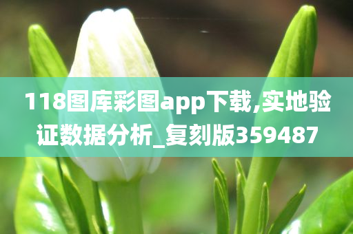 118图库彩图app下载,实地验证数据分析_复刻版359487