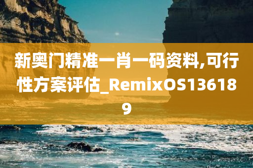 新奥门精准一肖一码资料,可行性方案评估_RemixOS136189