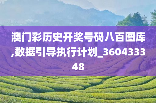 澳门彩历史开奖号码八百图库,数据引导执行计划_360433348