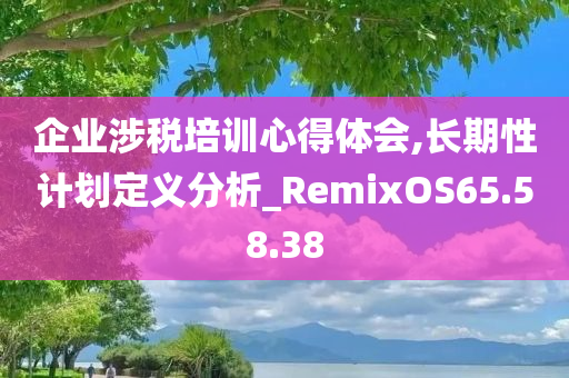 企业涉税培训心得体会,长期性计划定义分析_RemixOS65.58.38