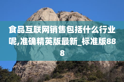 食品互联网销售包括什么行业呢,准确精英版最新_标准版888