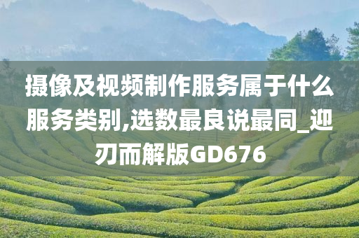 摄像及视频制作服务属于什么服务类别,选数最良说最同_迎刃而解版GD676