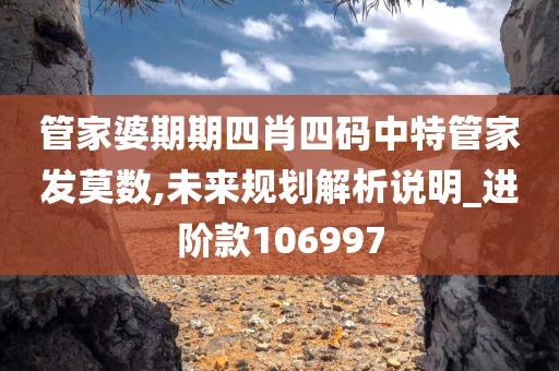 管家婆期期四肖四码中特管家发莫数,未来规划解析说明_进阶款106997