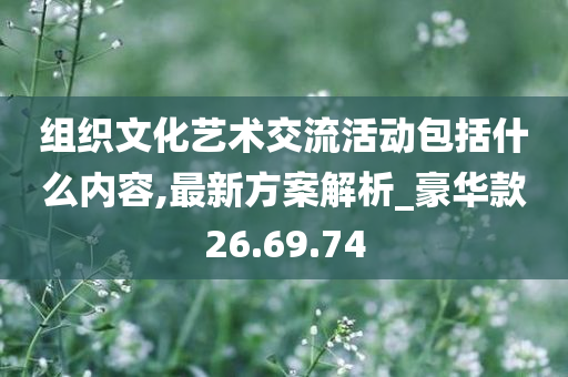 组织文化艺术交流活动包括什么内容,最新方案解析_豪华款26.69.74