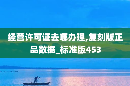 经营许可证去哪办理,复刻版正品数据_标准版453