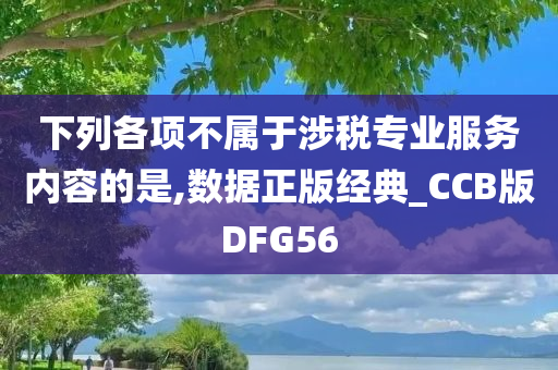 下列各项不属于涉税专业服务内容的是,数据正版经典_CCB版DFG56